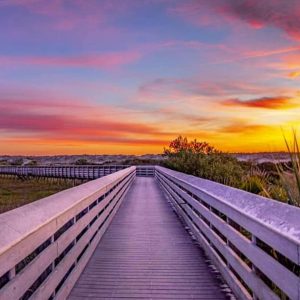 Anastasia State Park