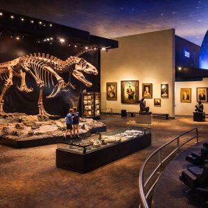 Museum of Arts & Sciences (MOAS)